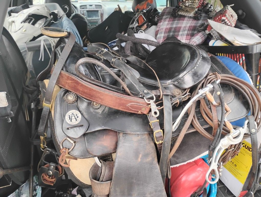 Horse Saddle Bona Allen Saddle Co.