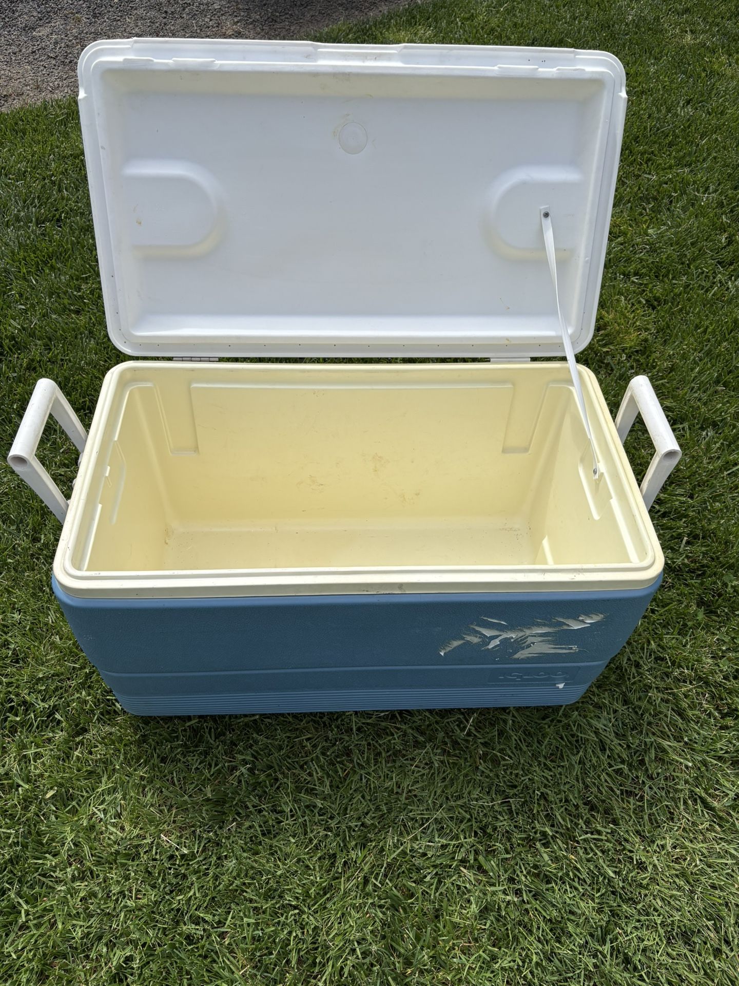 Igloo Max Cold 70 Qt Cooler