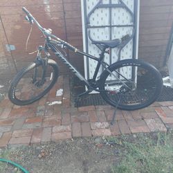 Giant Bike