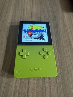 Analogue pocket kiwi