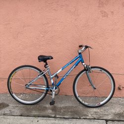 Convertida En Una Velocidad Bicicleta Schwinn Cuadro De Aluminum 40 Cm El Cuadro 700x38c Las Llantas Lista Para Usar 