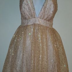 BLUSH/NUDE TULLE PROM QUINCEÑERA HOMECOMING DRESS (MED)