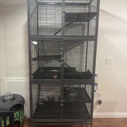 Critter Nation 3 Levels