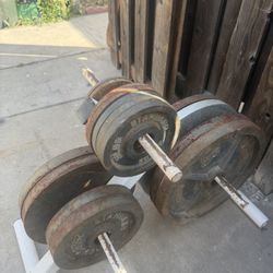 325 Pounds Olympic Weights With Stand 