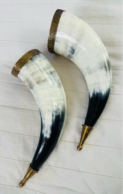 Pair of Viking Drinking Horns with Brass Accents