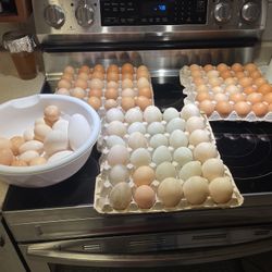 Eggs