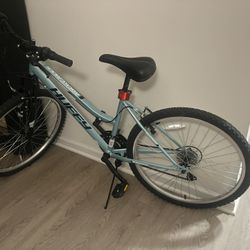 Mountain bike