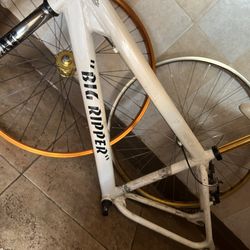 2016 Se Big Ripper