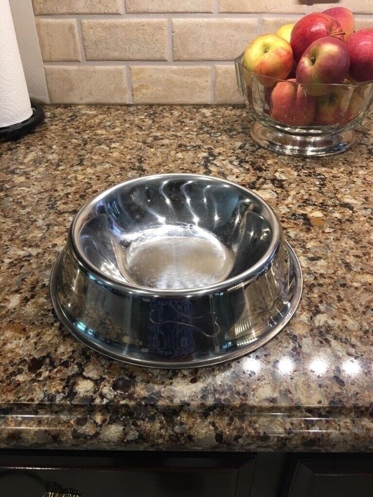 Dog Bowl