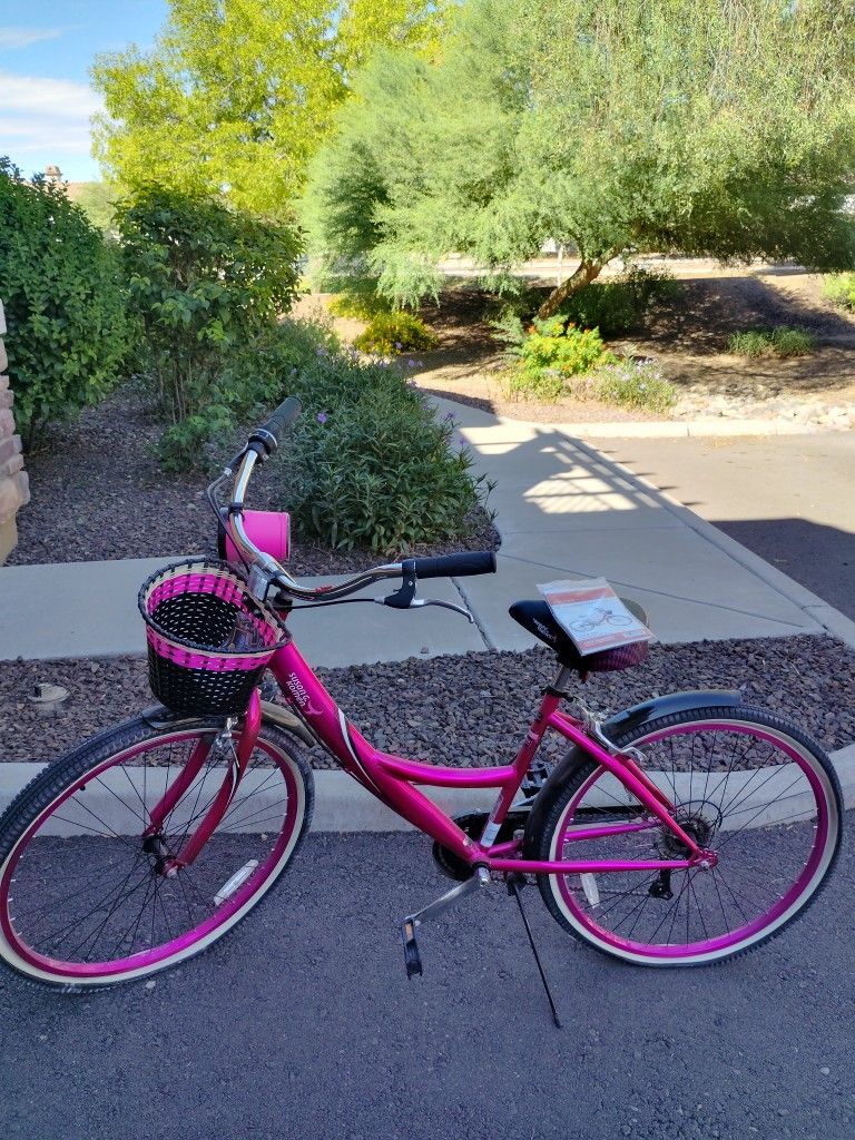 Bicycles, His Schwinn Grey And Hers Pink Susan Komen
