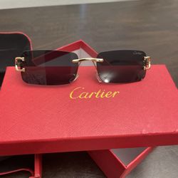 Cartier Sunglasses Glasses