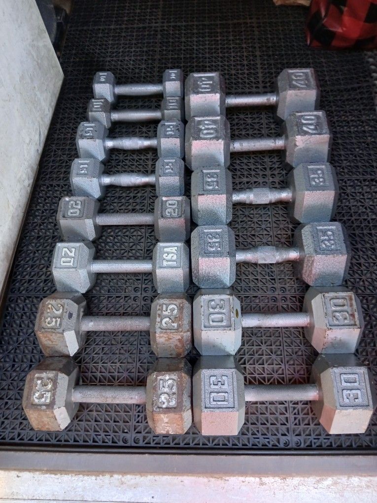 Iron Cast dumbbells set