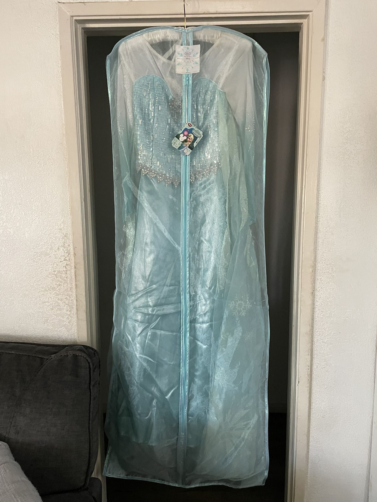 Elsa adult Dress