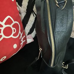 Coach Backpack 