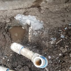 Cuidado De Jardin