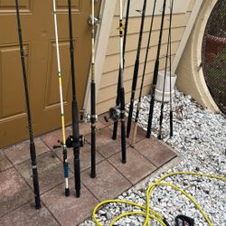 Variations Of Rods And Reels