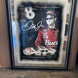 NASCAR collection Lot