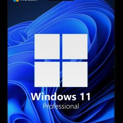 Windows 11 Pro Keys Have 100