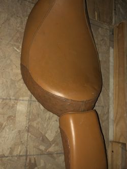 Ostrich 2 In 1 Seat
