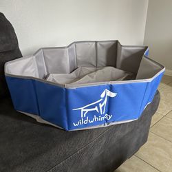 Ball pit for dogs, no balls