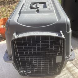 Dog Kennel