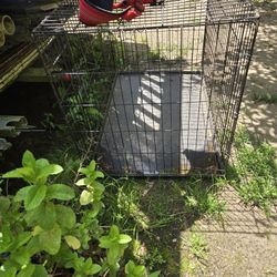 Metal dog kennel (Like New)
