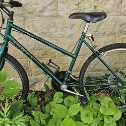Girls 15 Speed Bike