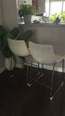 Cream and gold chairs