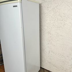 Upright Freezer 
