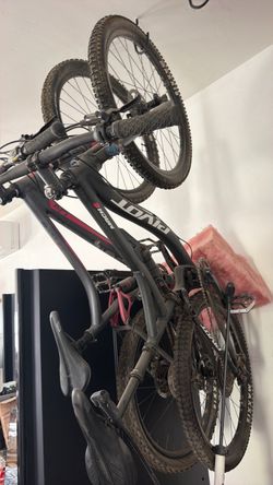 Pivot Mach Mountain Bike