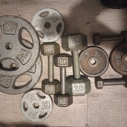 $60  Weights/Plates And Dumbbells 