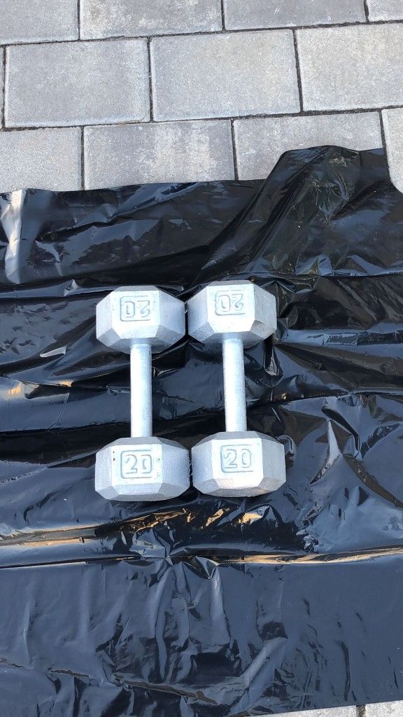 20LB Dumbbell Set