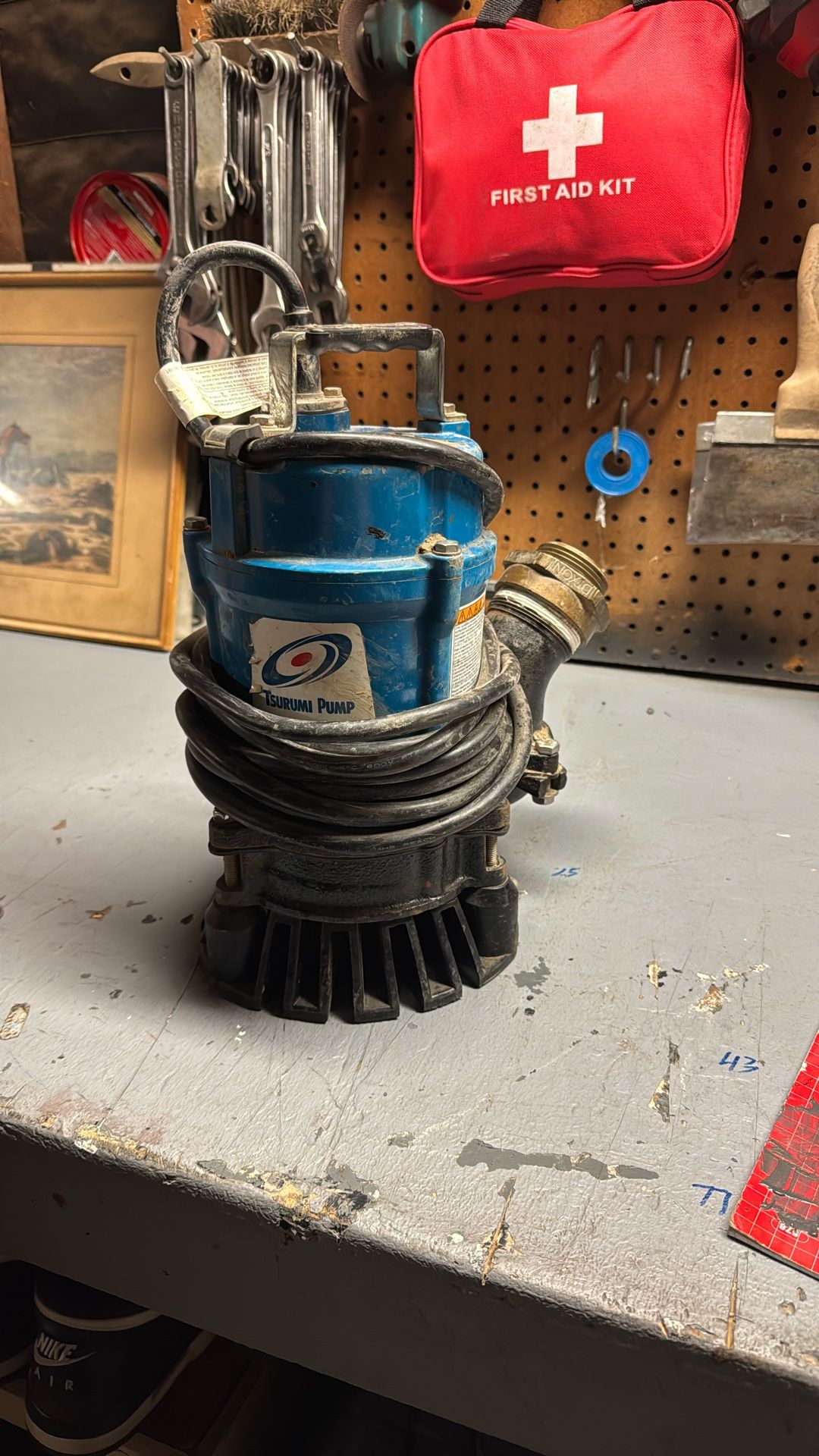 Tsurumi Pump