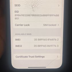 This Is The IMEI For The iPhone 13
