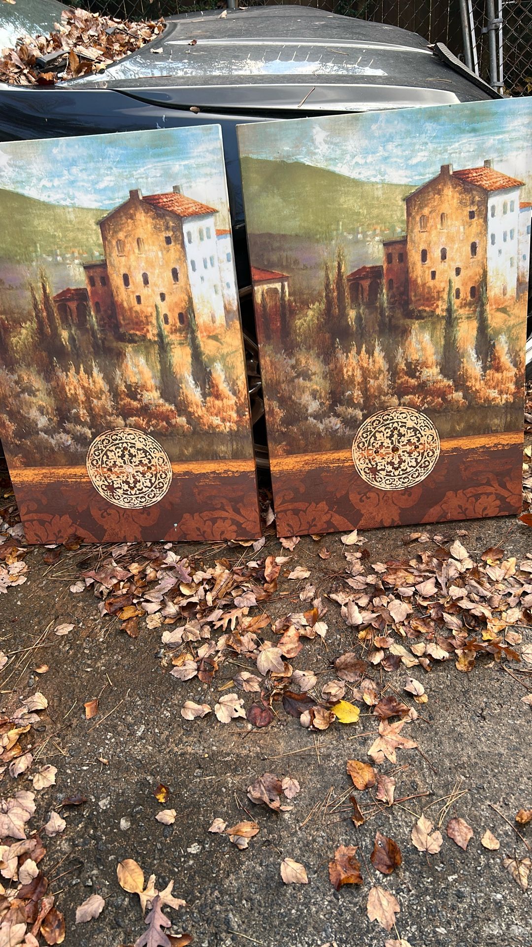 Two Medium Sized Pictures 