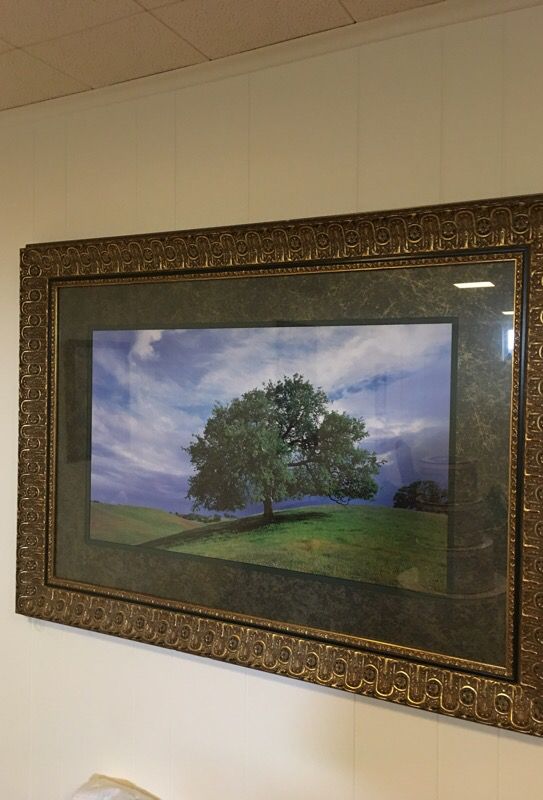 Large Gold Leaf Frame with Tree Photo
