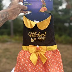 👗 Bootique Pet Halloween Dress “Wicked Sweet” (Medium)