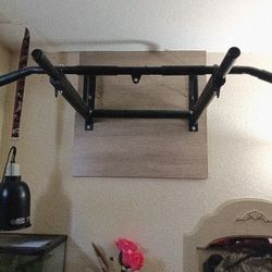 Pull Up Bar