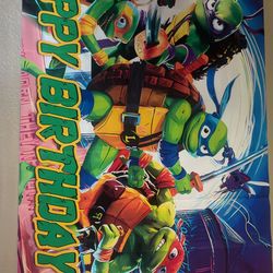 Ninja turtle banner