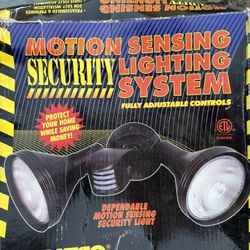 Security Motion Lightning System