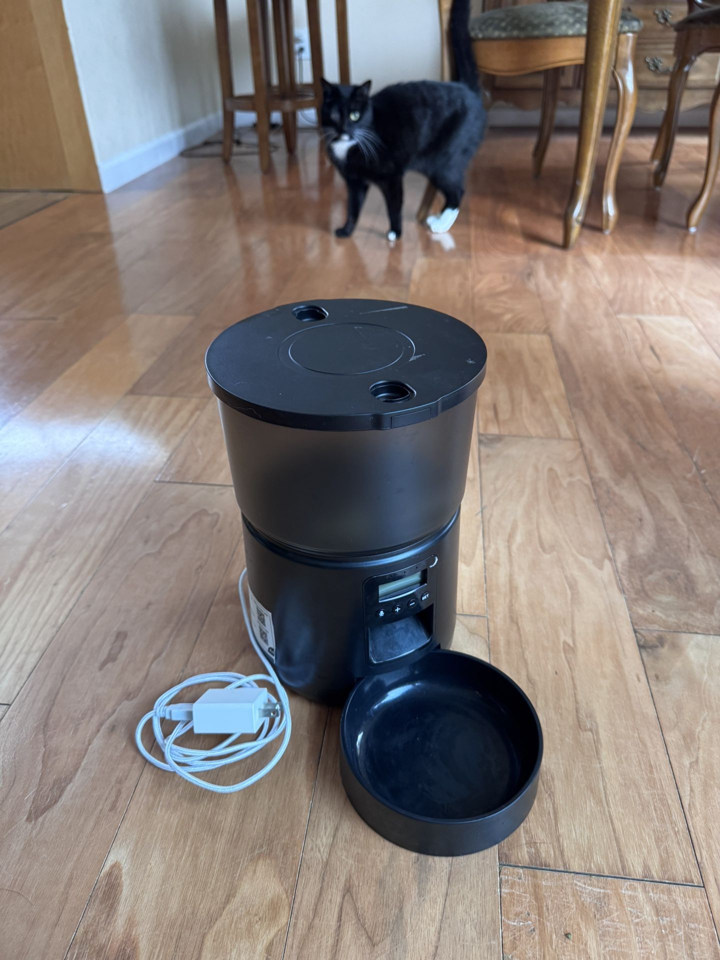 Automatic Cat Feeder