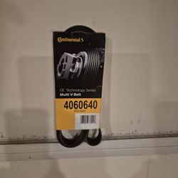 Serpentine Belt