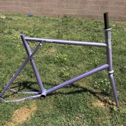 Mini Velo / Fixed Gear 