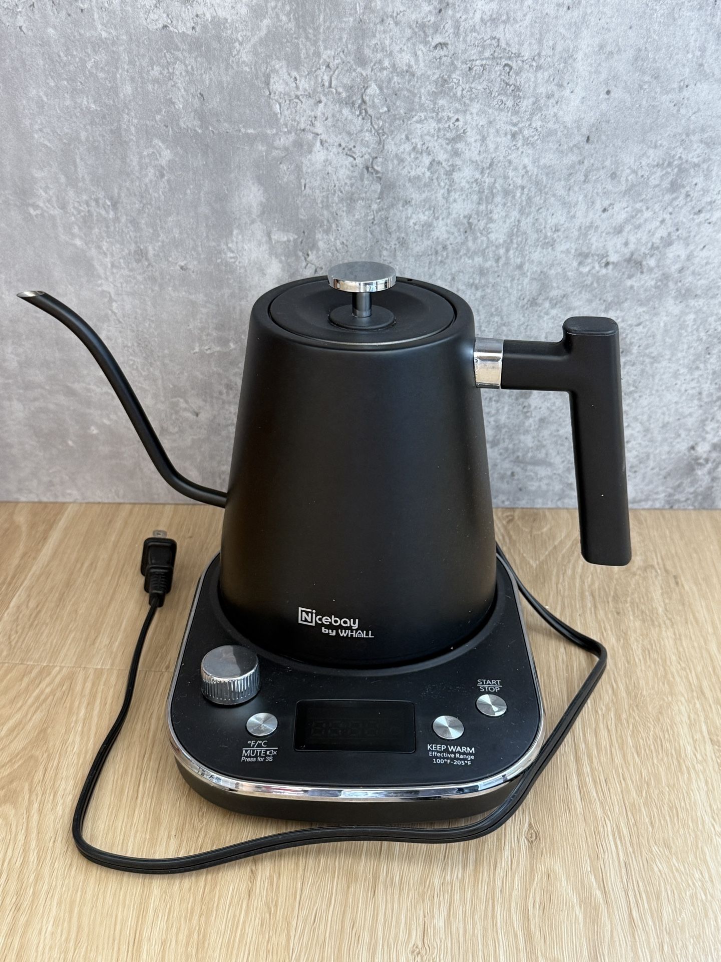 Electric Kettle With Temperature Control