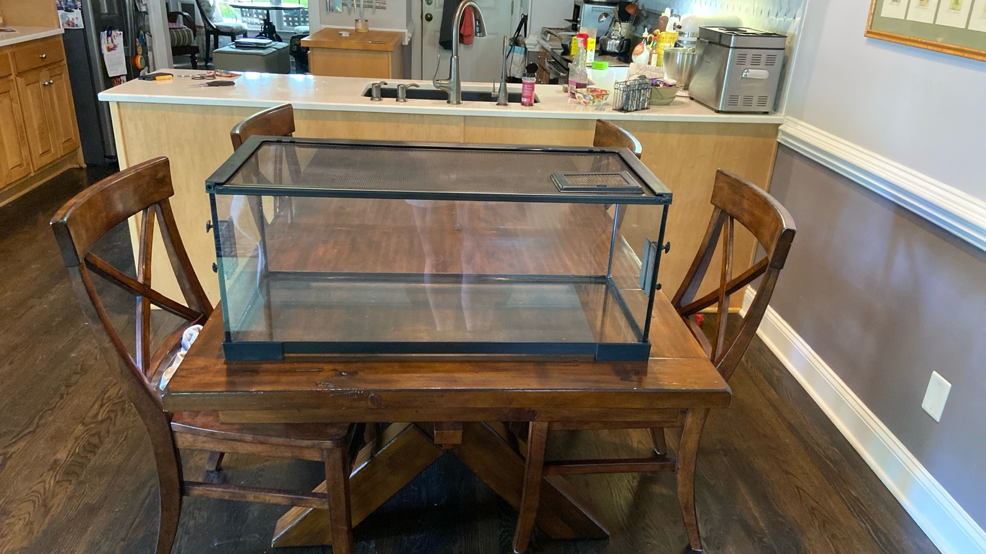 Reptile/amphibian habitat