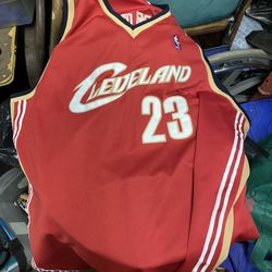 (Not Free Make Offer) Lebron James Hardwood Classic Cleveland Cavaliers Jersey 