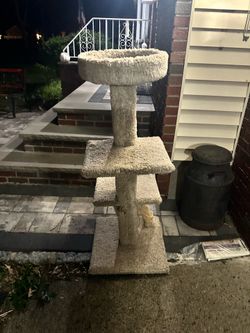 Vintage shag Heavy Duty 48” Cat Tree Condo – Real Wood Construction