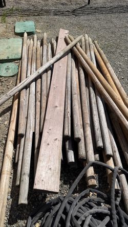 Tree stakes