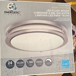 Costco Energetic 14” LED Flush Mount Light 