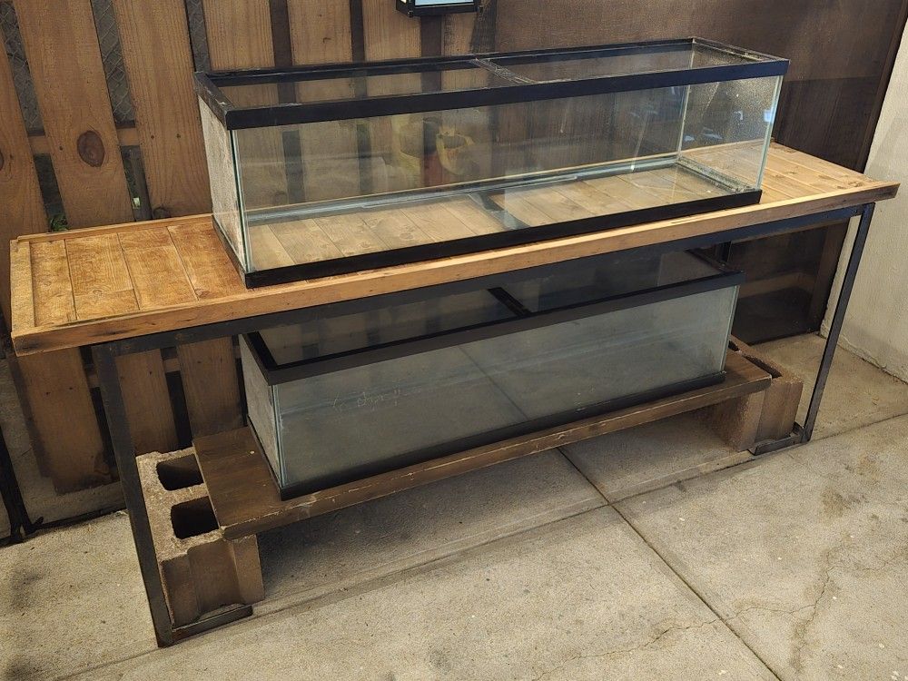33g Long Tanks ( Two)
- Double stand setup
- $250 - OBO